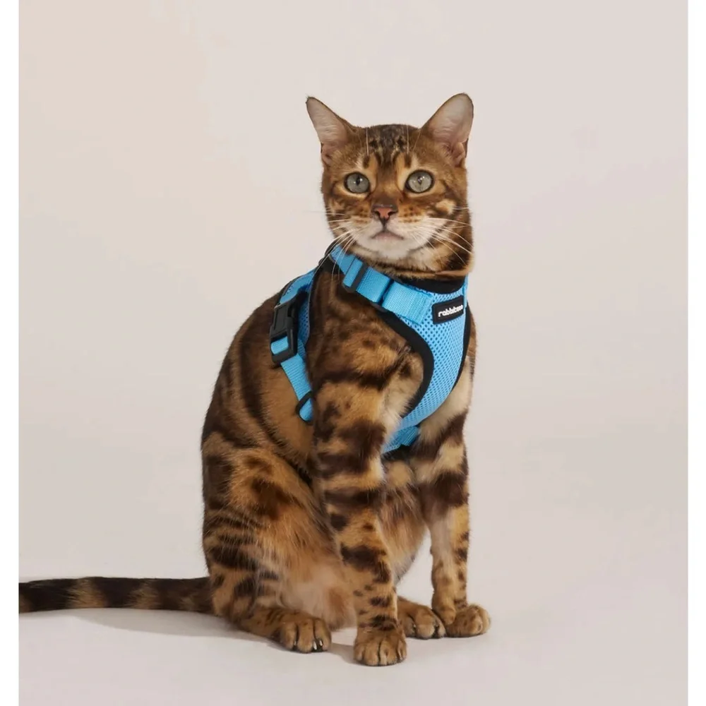 Rabbitgoo blue & black cat harness & leash, size medium, NIB.